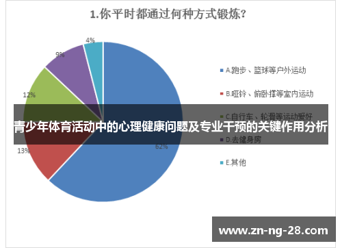 青少年体育活动中的心理健康问题及专业干预的关键作用分析