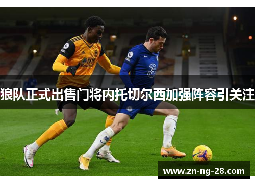 狼队正式出售门将内托切尔西加强阵容引关注